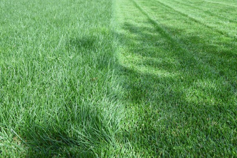 Lawn Edging
