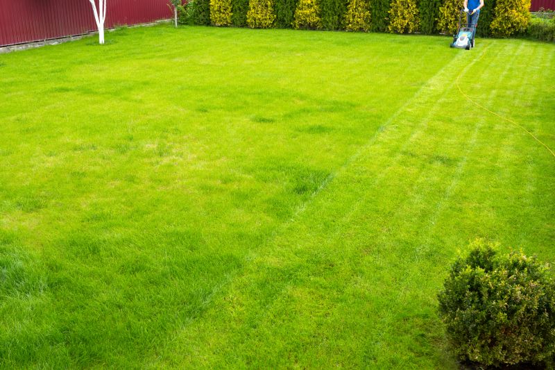Experienced Lawn Care Teams