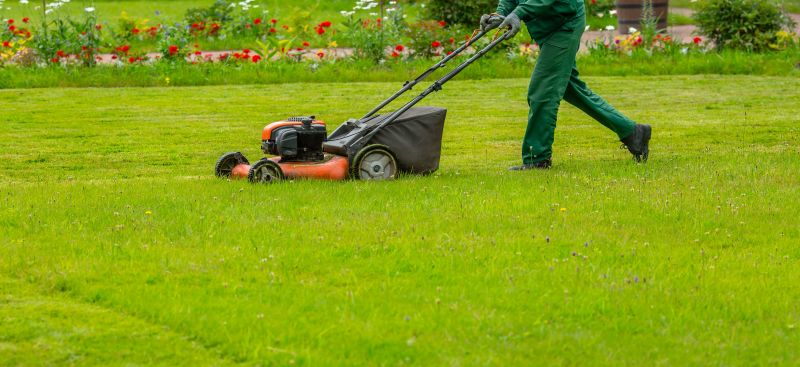 Individual Lawn Technicians