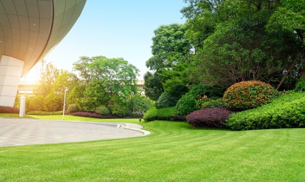 Cost of Commercial Lawn Mowing in Canton