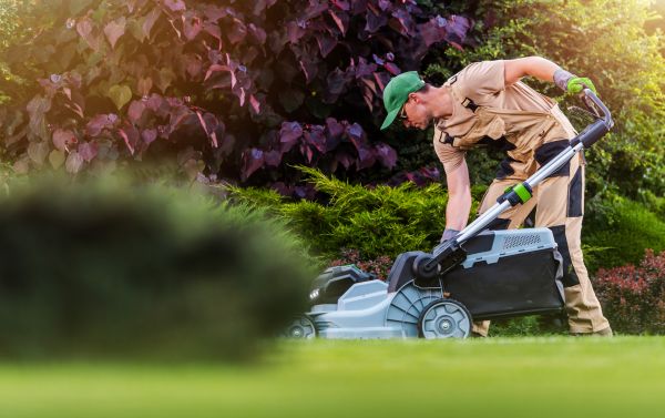 Cost of Lawn Care And Maintenance in Canton