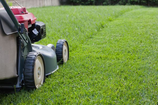 Cost of Lawn Care Service in Canton