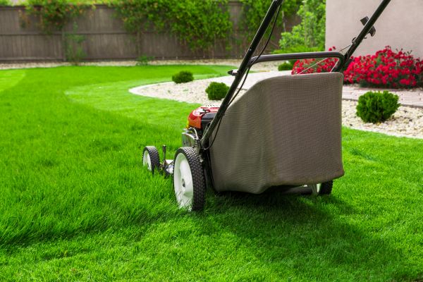 Cost of Lawn Mowing in Canton