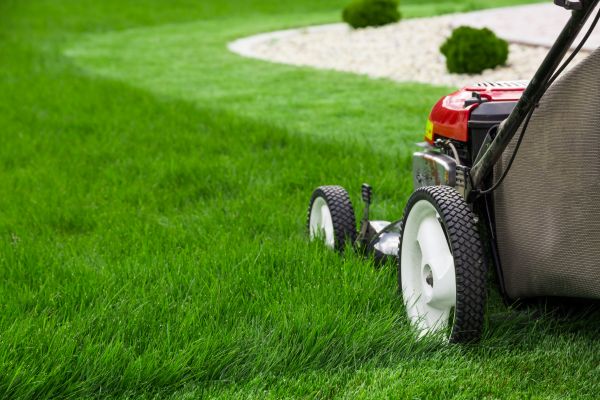 Cost of Mowing Service in Canton