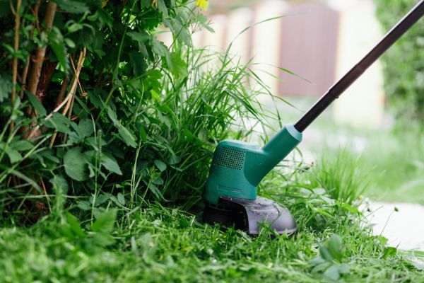 Cost of Weed Whacking in Canton