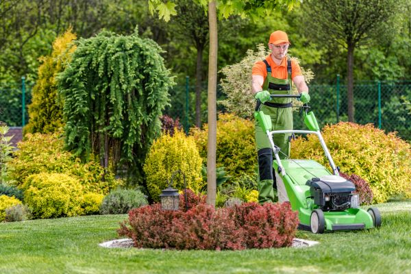 Cost of Yard Service in Canton