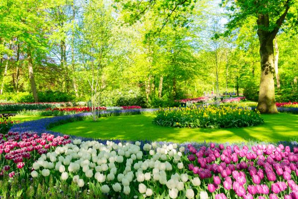Cost of Spring Lawn Care in Canton