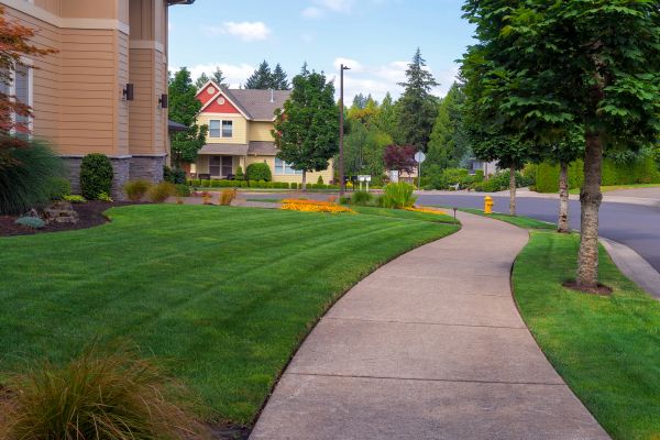 Home Lawn Maintenance in Canton