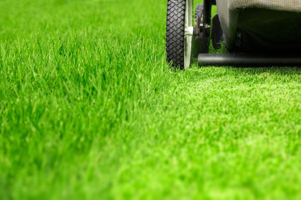 Weekly Lawn Care in Canton
