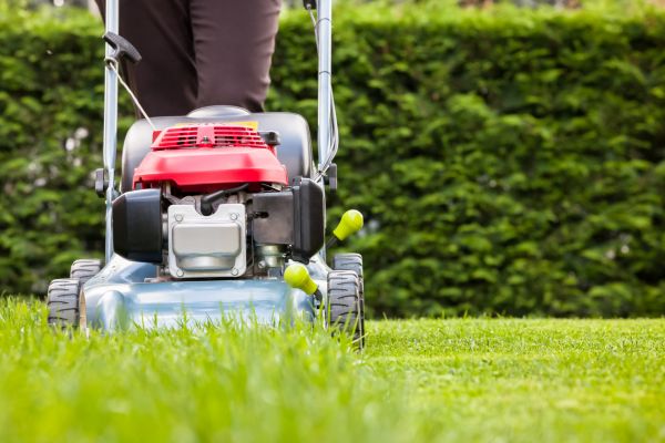 Cost of Grass Trimming Service in Canton