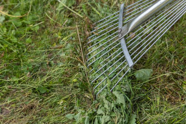 Cost of Thatch Raking in Canton