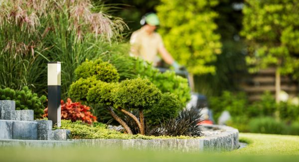 Cost of Residential Yard Maintenance in Canton