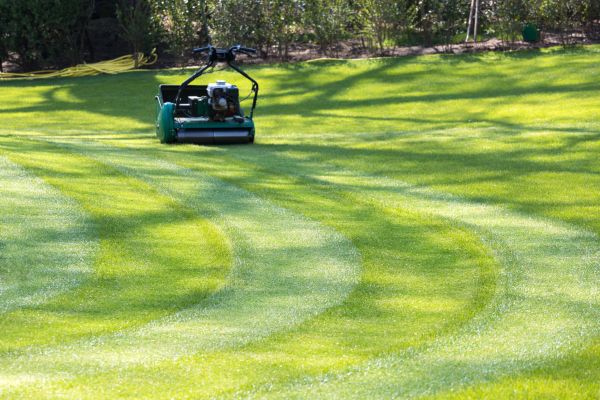 Cost of Business Lawn Mowing in Canton