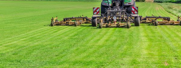 Industrial Lawn Management