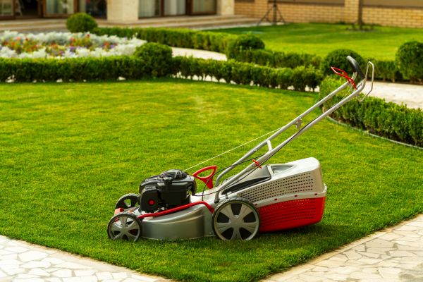 Cost of Business Grass Cutting in Canton