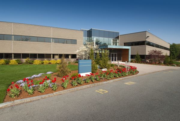 Cost of Commercial Groundskeeping in Canton