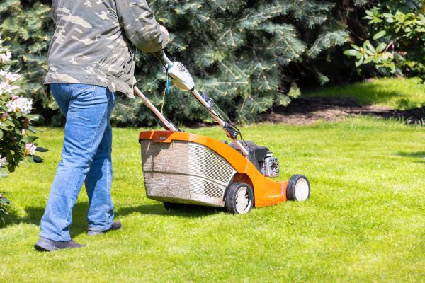 Cost of Springtime Lawn Care in Canton