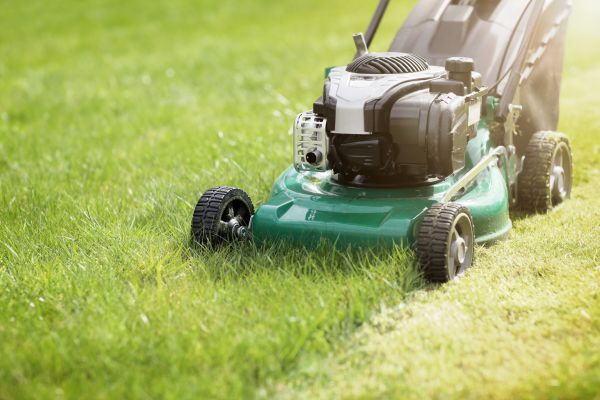 Cost of Spring Grass Trimming in Canton