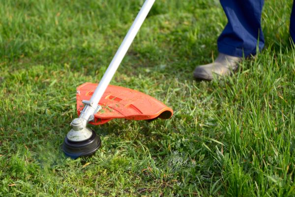 Cost of Lawn Weed Whacking in Canton